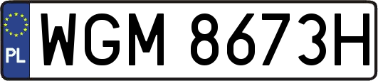 WGM8673H