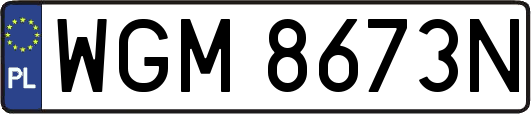 WGM8673N