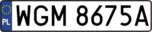 WGM8675A