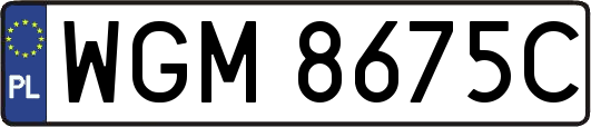WGM8675C