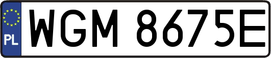 WGM8675E