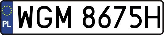 WGM8675H