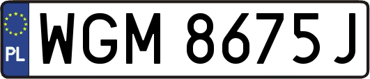 WGM8675J