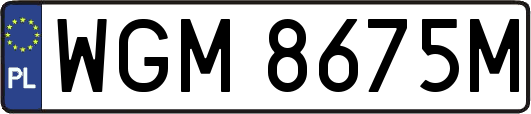 WGM8675M
