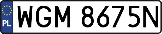 WGM8675N