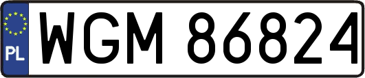 WGM86824