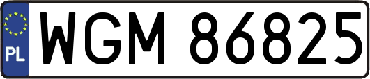 WGM86825