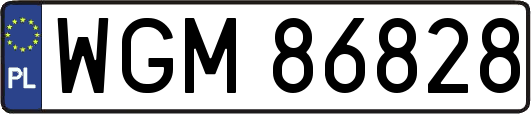 WGM86828