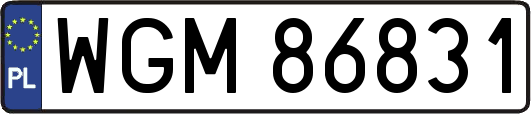 WGM86831