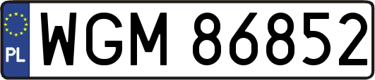 WGM86852