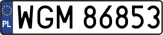 WGM86853