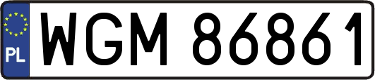 WGM86861