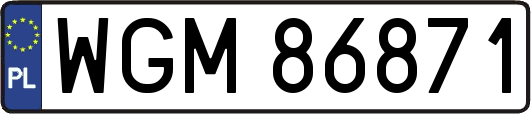 WGM86871