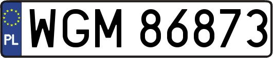 WGM86873