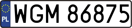 WGM86875