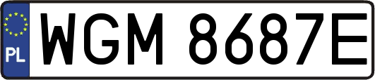 WGM8687E