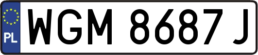 WGM8687J