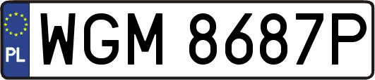 WGM8687P