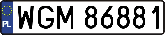 WGM86881