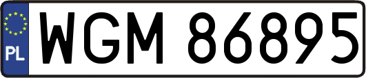 WGM86895