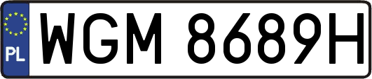 WGM8689H