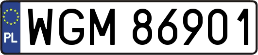 WGM86901