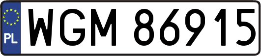 WGM86915