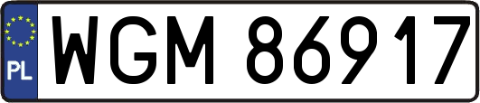 WGM86917