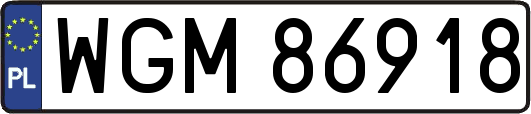 WGM86918