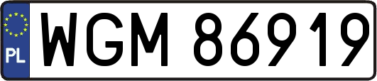 WGM86919