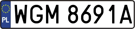 WGM8691A
