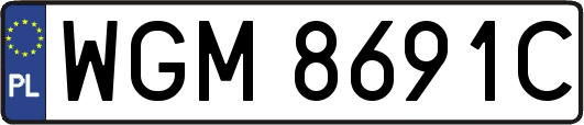WGM8691C