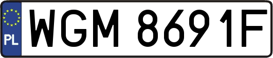 WGM8691F