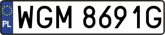 WGM8691G
