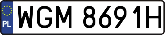 WGM8691H