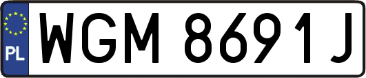 WGM8691J
