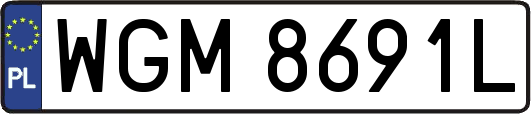 WGM8691L
