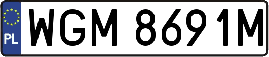 WGM8691M