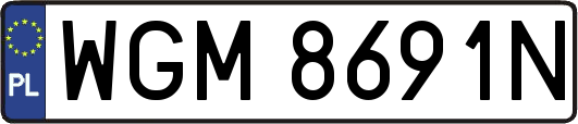 WGM8691N