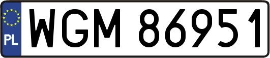 WGM86951