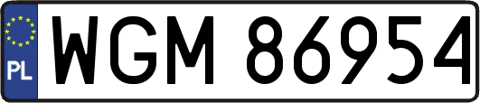 WGM86954