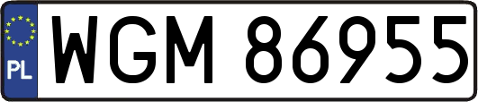 WGM86955