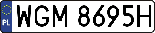 WGM8695H