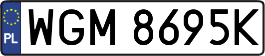 WGM8695K