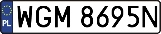 WGM8695N