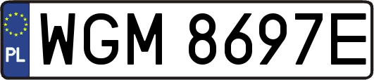 WGM8697E