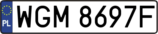 WGM8697F