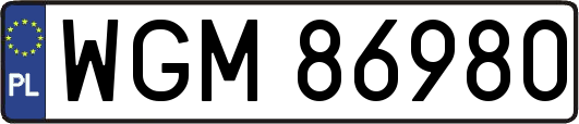 WGM86980