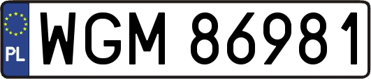 WGM86981
