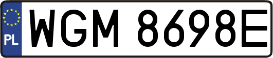 WGM8698E